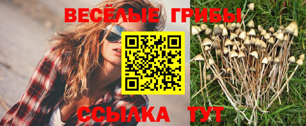 Псилоцибиновые грибы ЛСД Жигулёвск